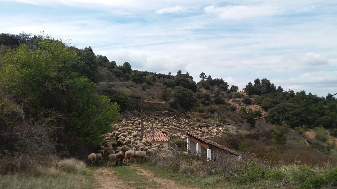 Casa Rita Villa Morella Luaran gambar