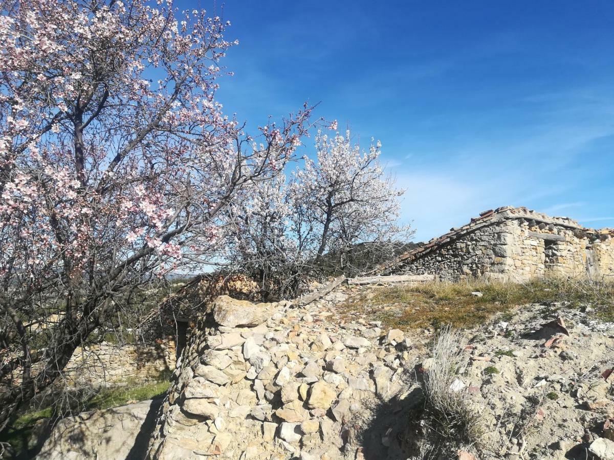 Casa Rita Villa Morella Luaran gambar